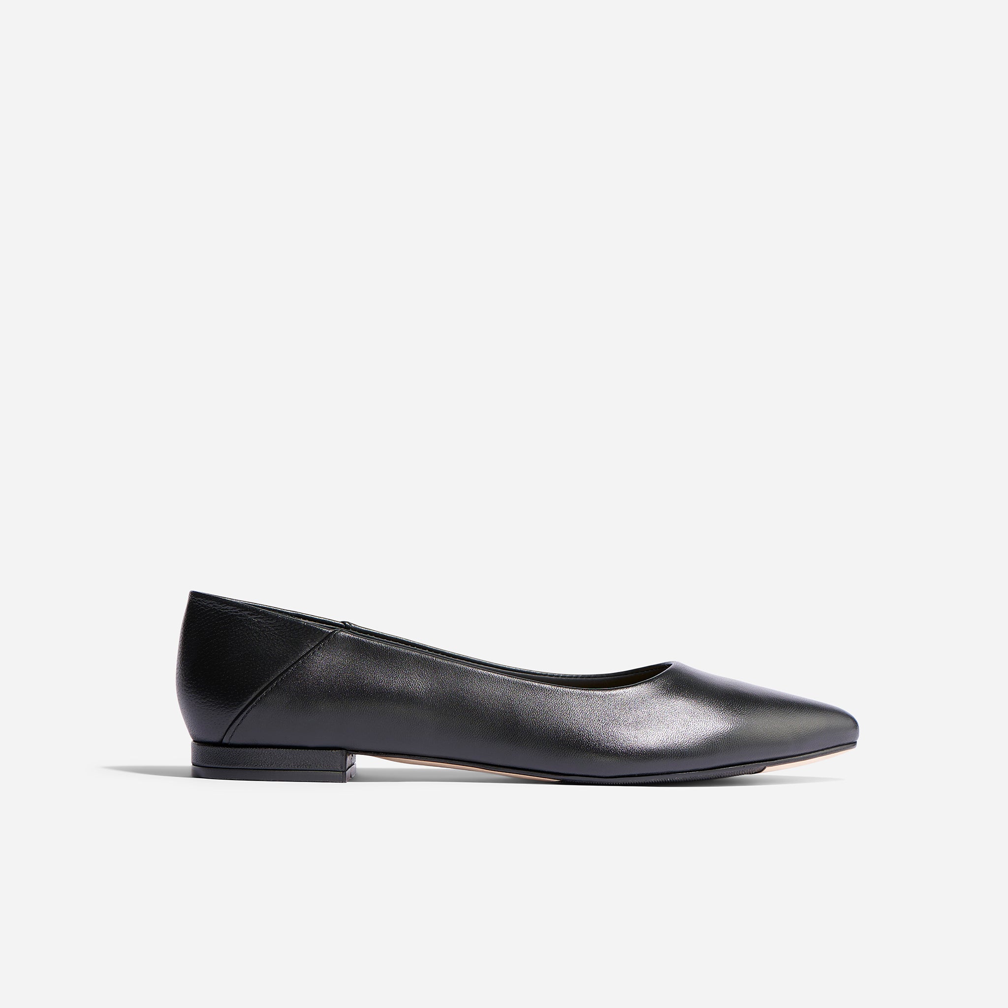 Fina Pointed Toe Flat Black