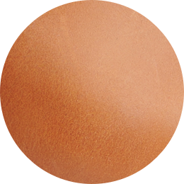 Camila Everyday Tote Caramel